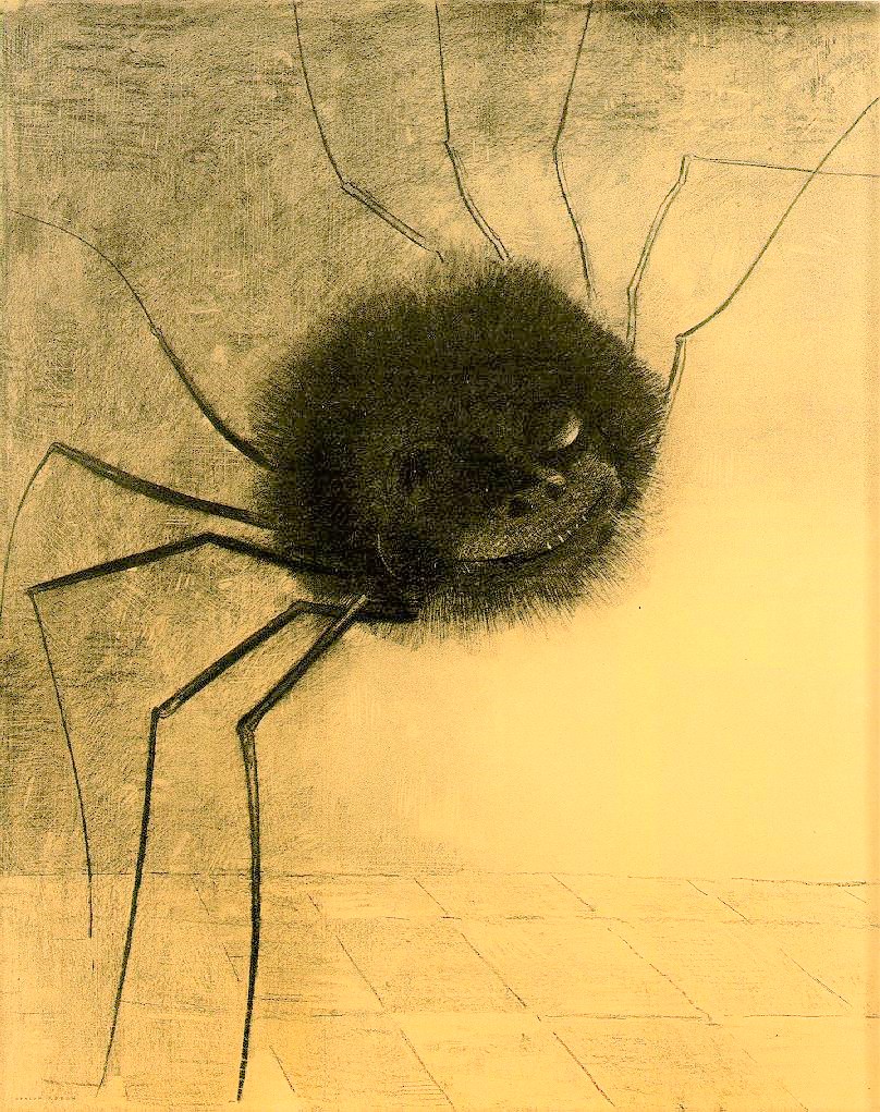 笑う蜘蛛 【1891】